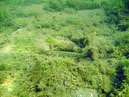 pict0084